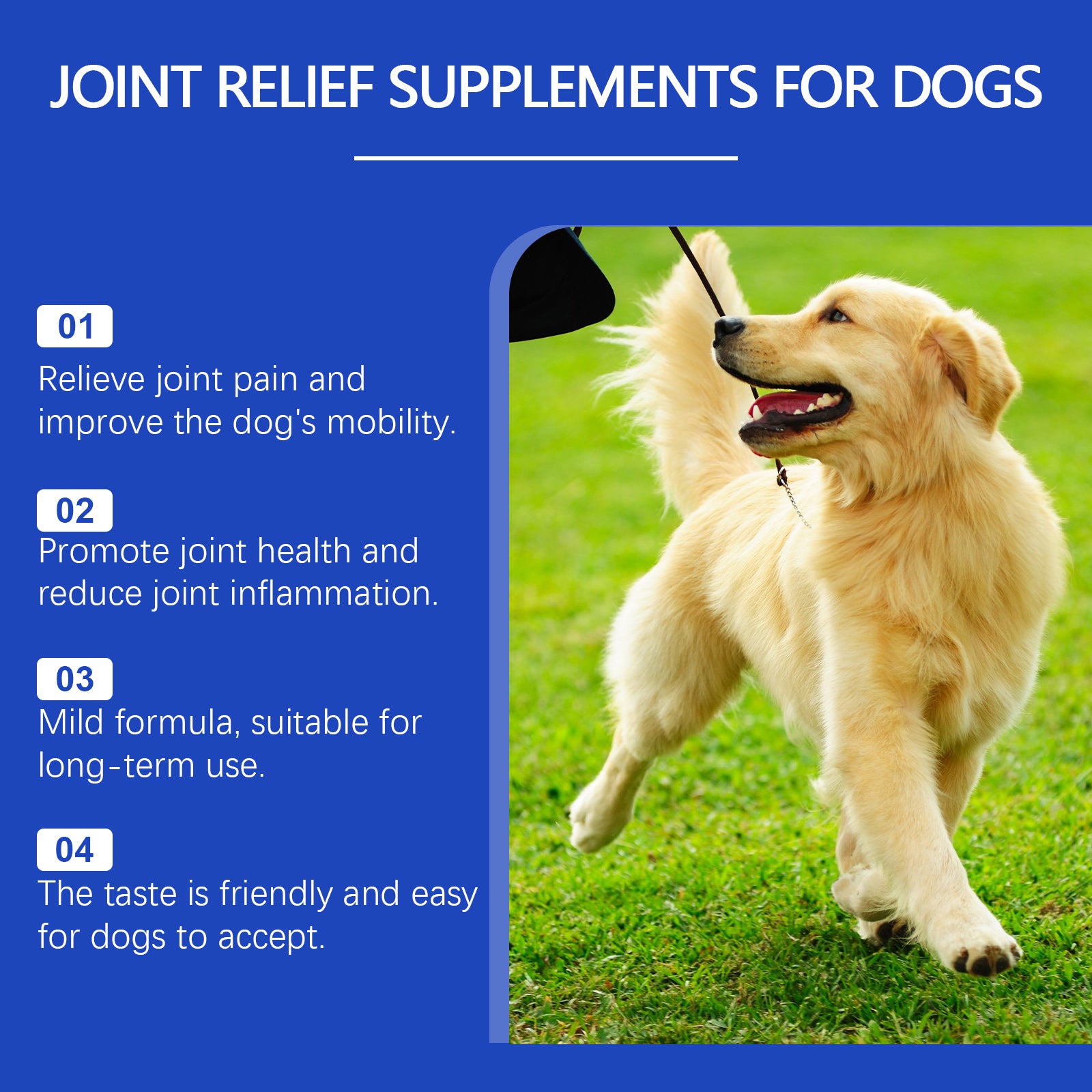  Pet Dog Joint Supplement To Enhance Nutrition Care Joint Health Pet Joint Care Agent #