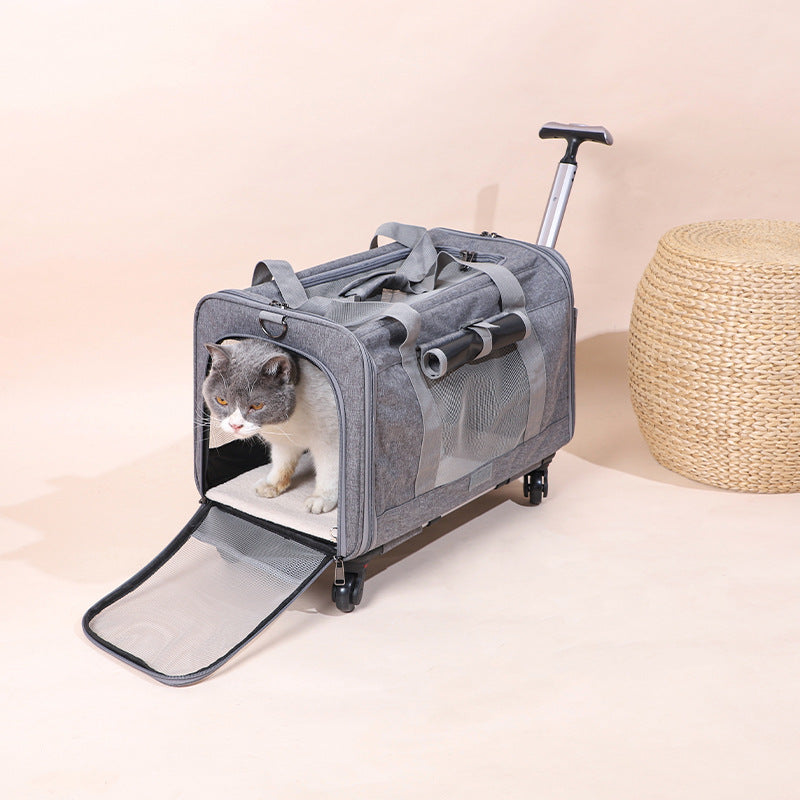  Travel Cat Carrier Summer Dog Pet Bag Foldable Cat Pet Box Breathable Portable Pet Trolley Case #