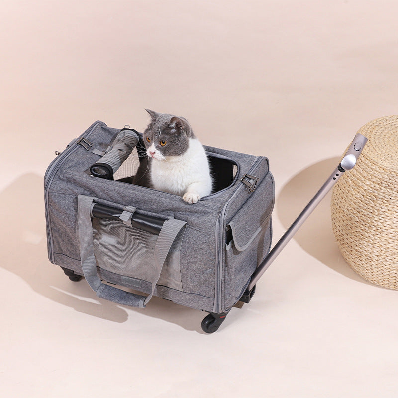  Travel Cat Carrier Summer Dog Pet Bag Foldable Cat Pet Box Breathable Portable Pet Trolley Case #