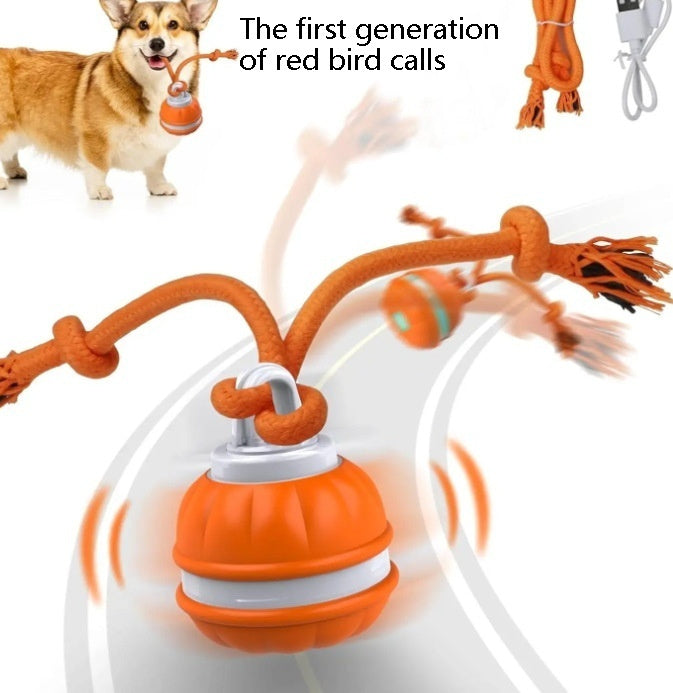  Pet Ball For Dogs Interactive Toys Motion Activate Rolling Ball For Puppy Small Dogs Automatic Moving Toy USB Rechargeable Toy Pet Products #